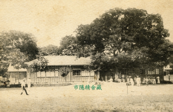 ▲장흥공립소학교 당시, 뒤에 보이는 팽나무에 이방언 부자가 처형되었다 / 이대희소장